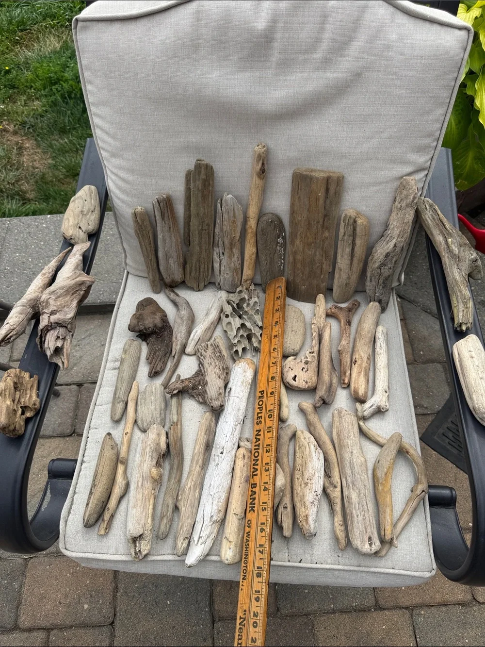 43 pc for (5 lbs shipped) Box of Natural Driftwood Pieces Decor Crafts Projects